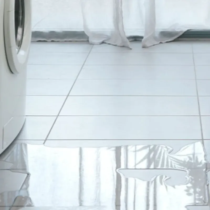 Appliance Leak Cleanup in Casper, WY