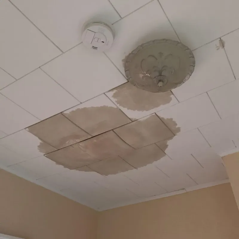 Ceiling Water Damage Repair in Casper, WY