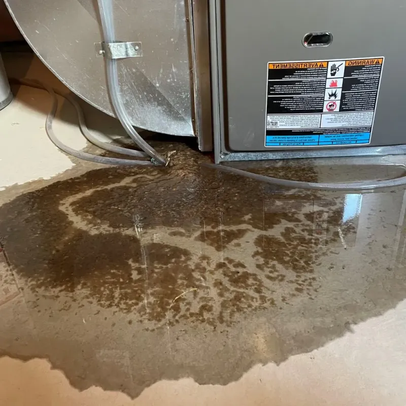 Pipe Burst and Leak Restoration in Casper, WY