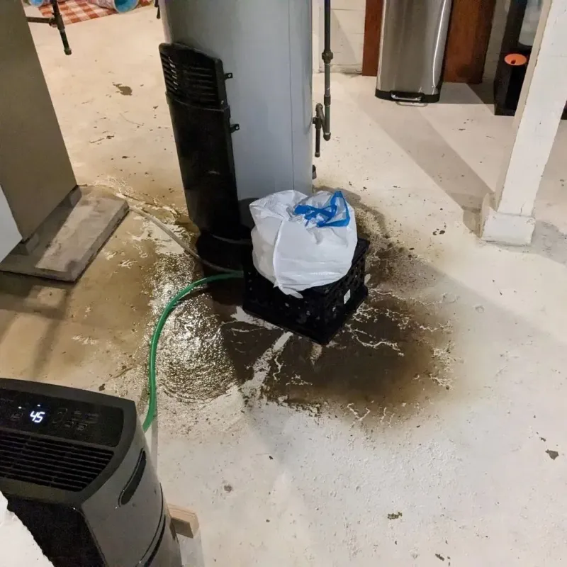 Sewage Backup Cleanup Service in Casper, WY